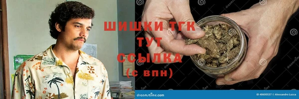 амф Арсеньев
