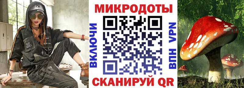 купить  цена  Сальск  Псилоцибиновые грибы мухоморы 